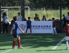 市级社会九球体育活动少年九球体育冠军联赛在聚加球场开赛