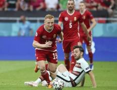 欧洲杯预选赛：匈牙利往绩有优势，塞尔维亚状态回暖